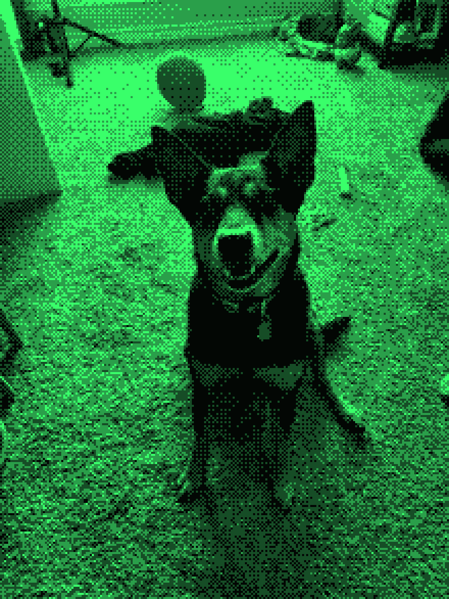 Jessie sitting and smiling at the camera